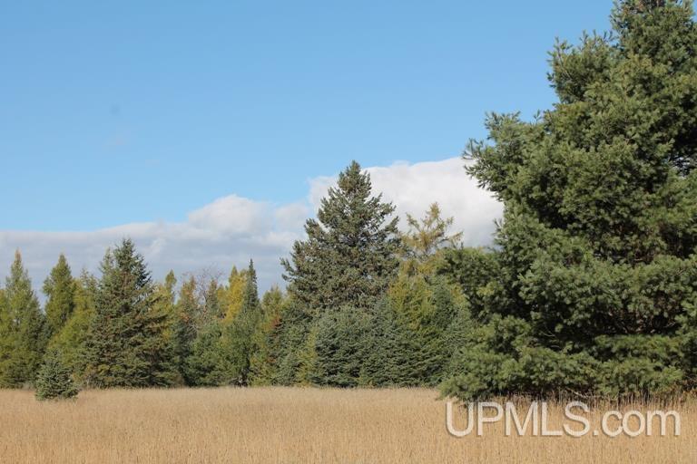 Tbd Missouri Rd - Co Rd 565, Unit LAT 46 31633 LON 87 5822 Gwinn, MI 49841 - Photo 15 of 30