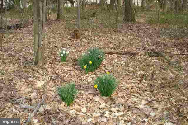 86 Cold Springs Road Carlisle, PA 17015 - Photo 9 of 11 Gallery Image 9