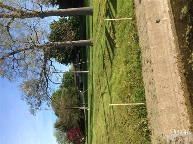 Lot 33 Spring Beach Rome City, IN 46784 - Photo 4 of 5
