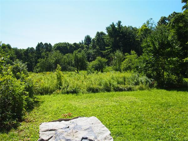182 South Row Road Townsend, MA 01469 - Photo 1 of 12