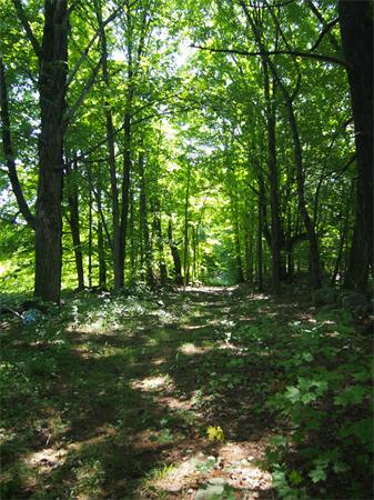 182 South Row Road Townsend, MA 01469 - Photo 3 of 12
