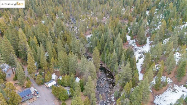 a view of a lake with a tree