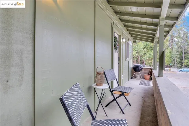 a view of a forest with lots of trees
