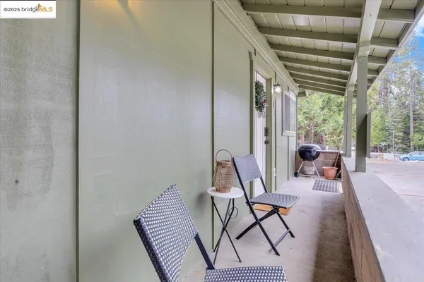 a view of a forest with lots of trees