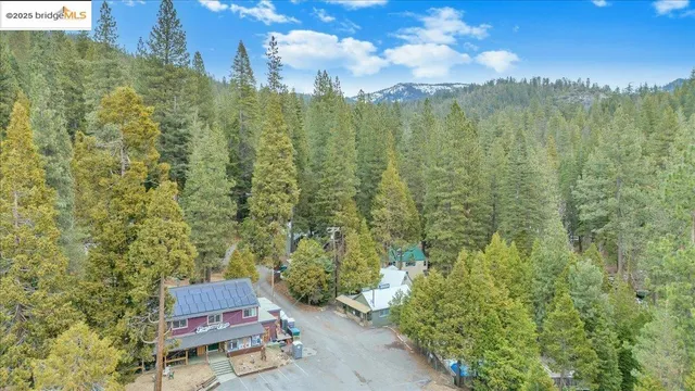 a view of a bird bath