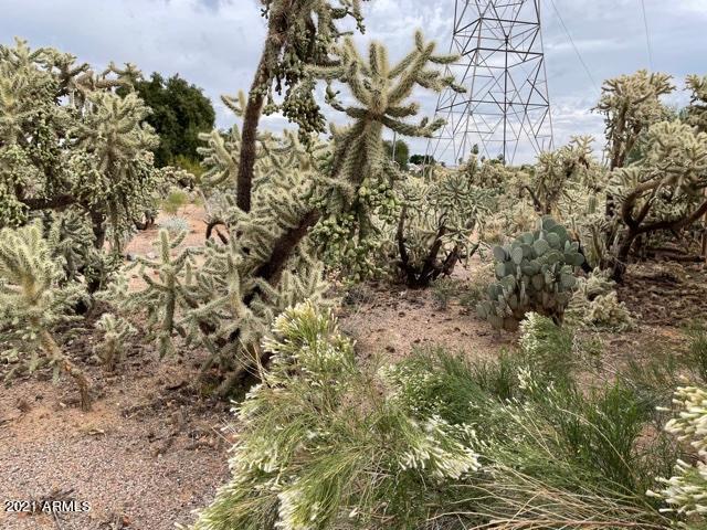 5801 Casper Road Mesa, AZ 85205 - Photo 26 of 32 thumbnail (1)