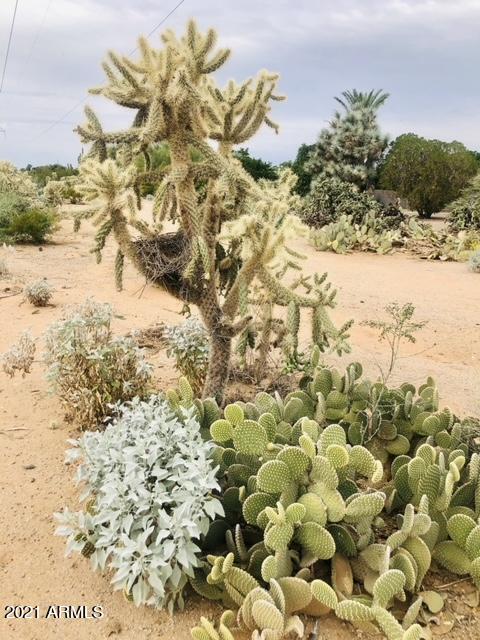 5801 Casper Road Mesa, AZ 85205 - Photo 30 of 32 thumbnail (5)