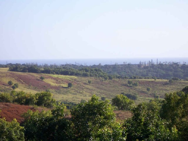 5657 Hoku Road Kapaa, HI 96746 - Photo 7 of 15 Gallery Image 7