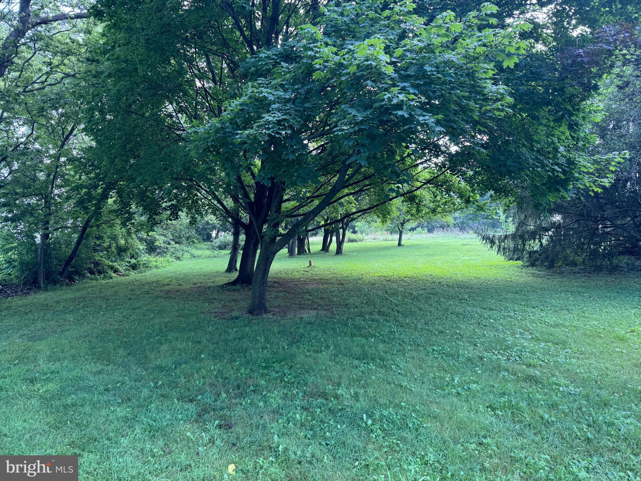 45 Bloserville Road Carlisle, PA 17015 - Photo 21 of 66