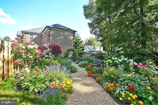 a flower garden view