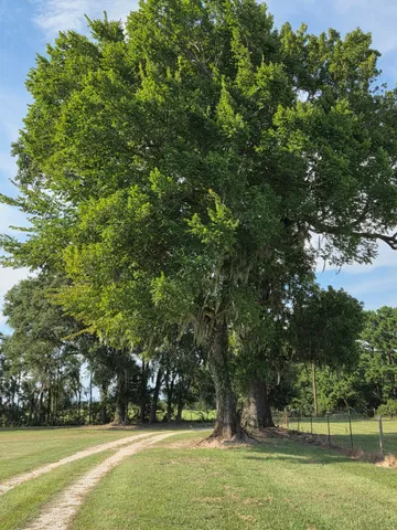 $130,000 | 0 South Skains Chapel Road, Trinity, TX 75862