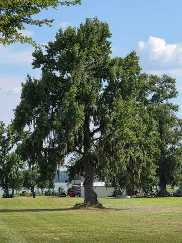 $130,000 | 0 South Skains Chapel Road, Trinity, TX 75862