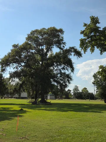 $130,000 | 0 South Skains Chapel Road, Trinity, TX 75862