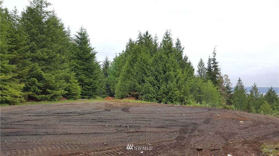 343 Dusty Road Brinnon, WA 98320 - Photo 13 of 21 Gallery Image 13