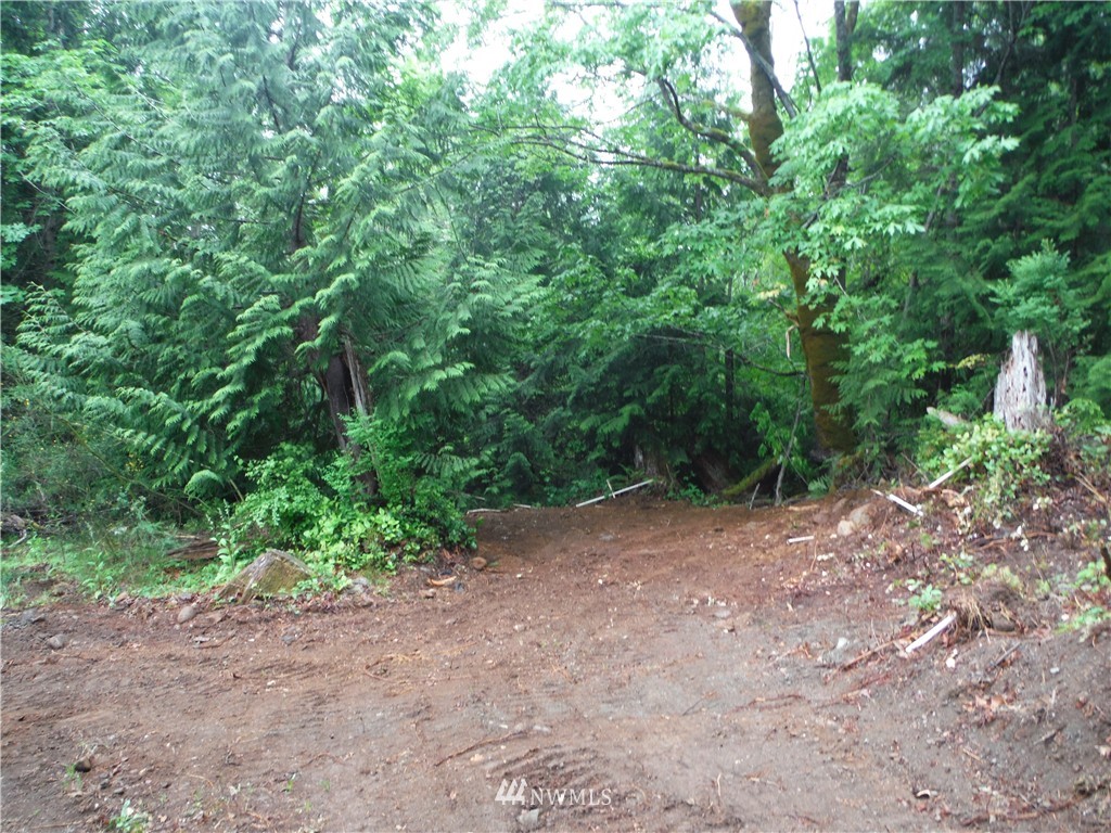 343 Dusty Road Brinnon, WA 98320 - Photo 17 of 21 Gallery Image 17