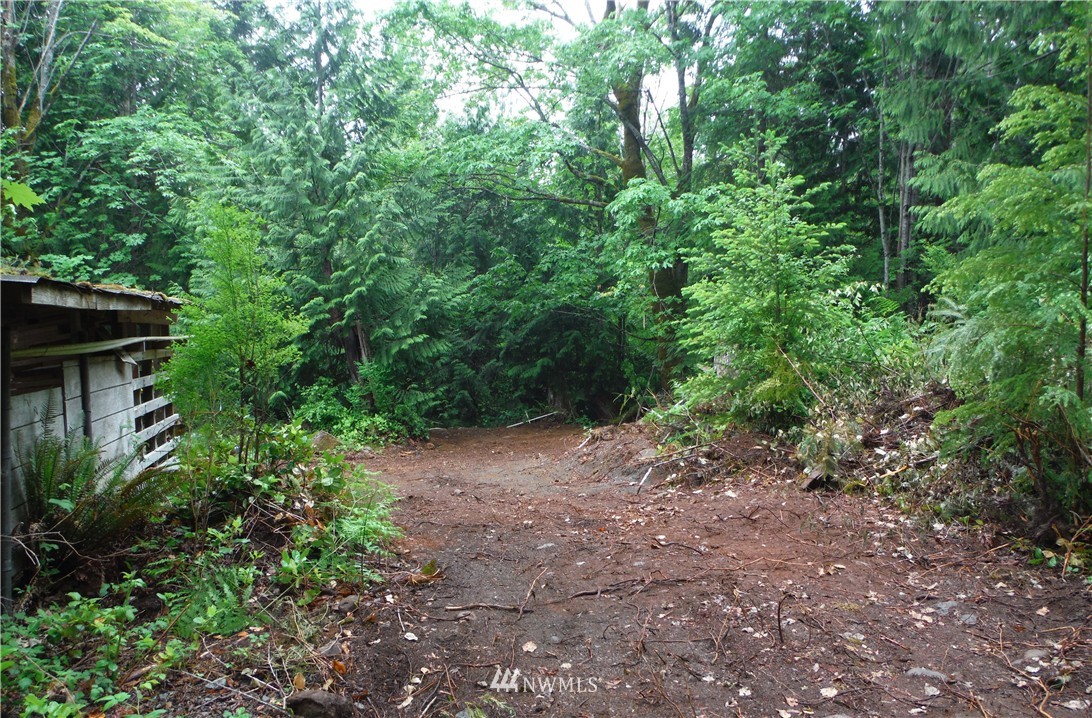 343 Dusty Road Brinnon, WA 98320 - Photo 20 of 21 Gallery Image 20