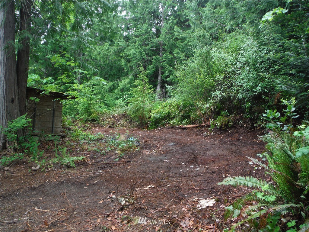 343 Dusty Road Brinnon, WA 98320 - Photo 21 of 21 Gallery Image 21