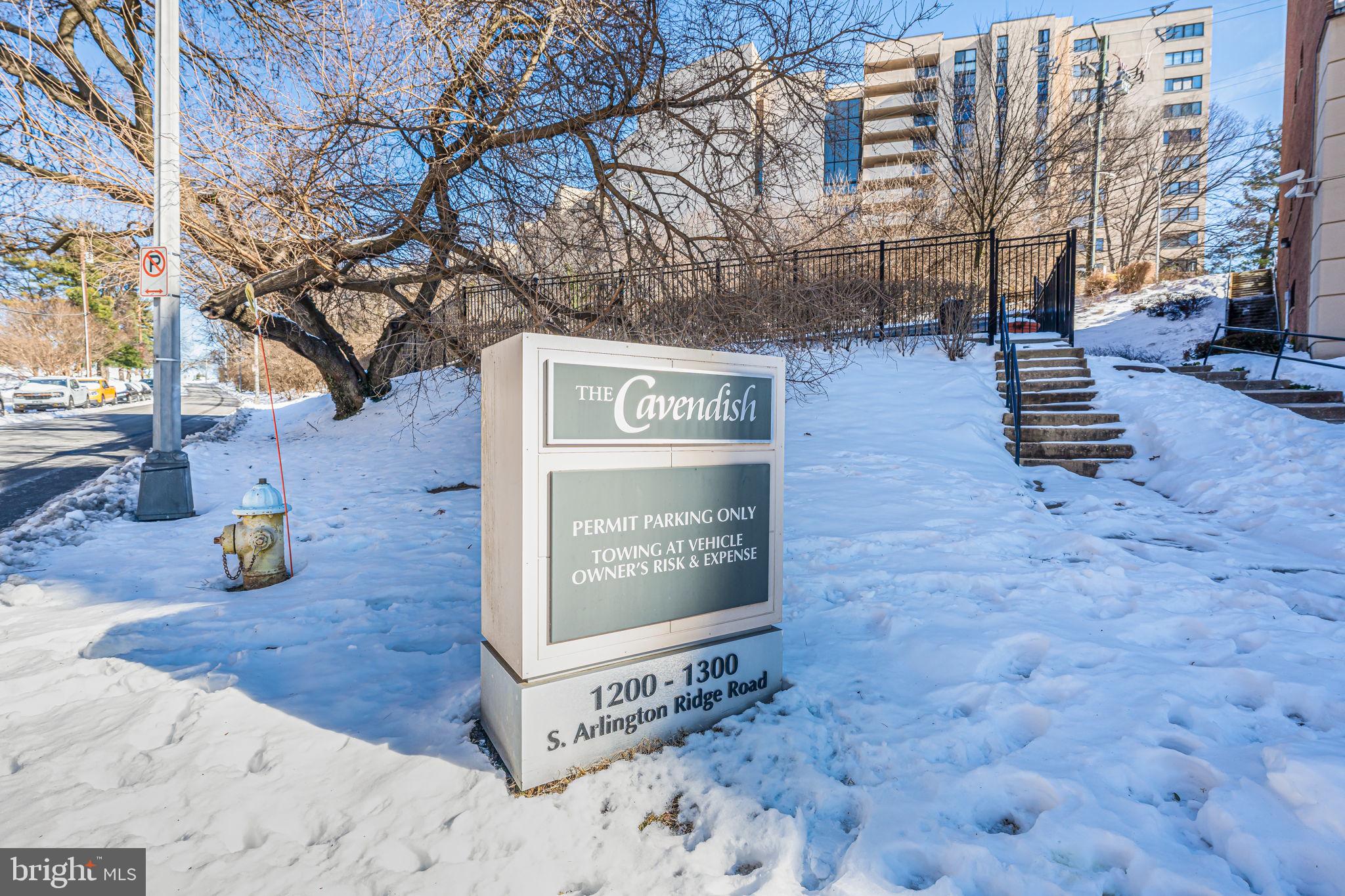 1200 South Arlington Ridge Road, Unit 714 Arlington, VA 22202 - Photo 3 of 24 a view of a street with some trees