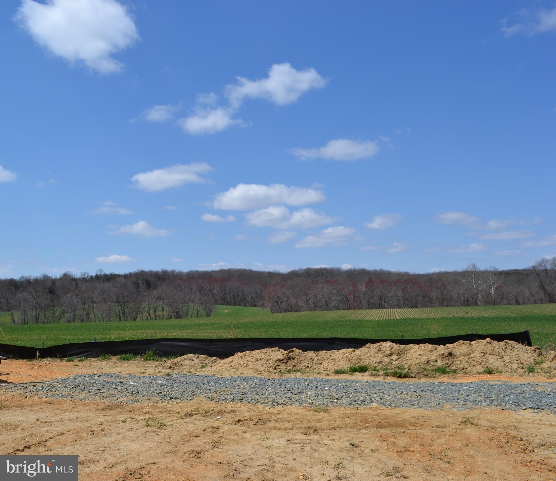 801 Oldfield Point Road Elkton, MD 21921 - Photo 3 of 15 Manks Pond offers a lovely rural setting