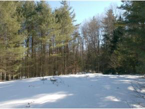 2288 Winhall Hollow Road Londonderry, VT 05155 - Photo 3 of 22 Gallery Image 3