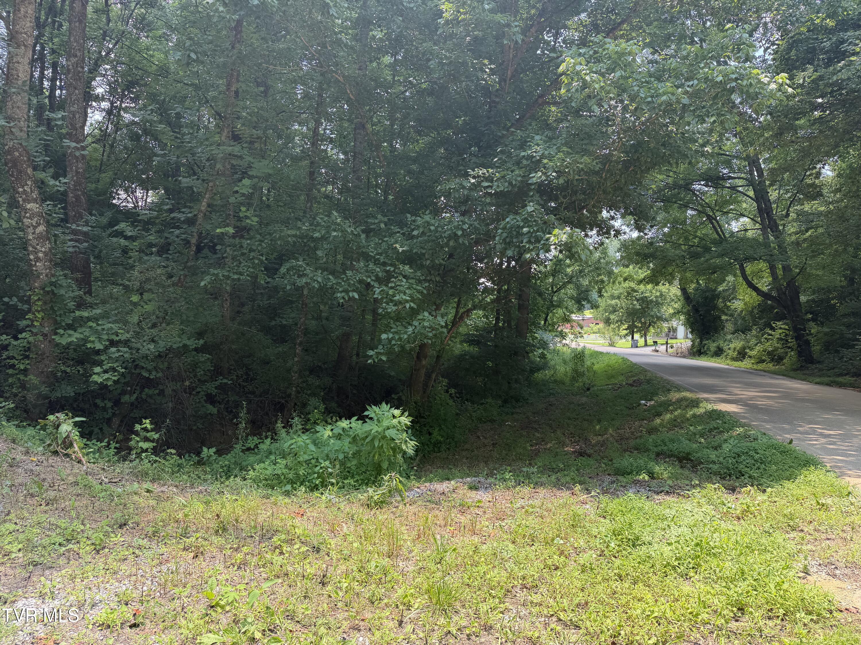 701 Old Witt Road, Unit 1 Morristown, TN 37813 - Photo 5 of 21 t5