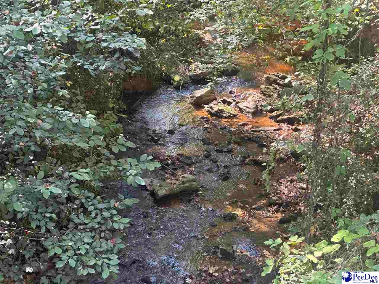 Hallelujah Road Mount Croghan, SC 29727 - Photo 3 of 5 Gallery Image 3
