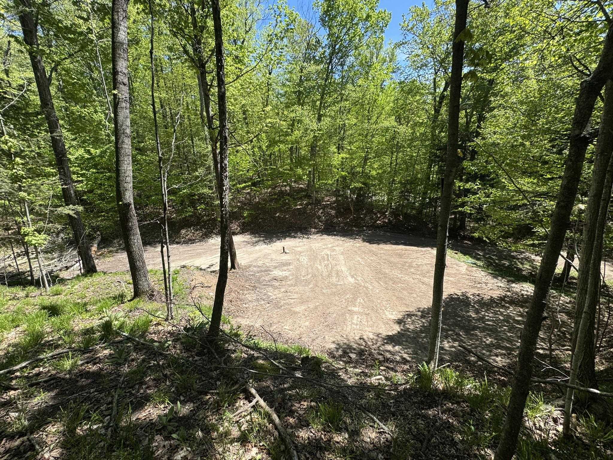 1801 East Old Mountain Road Cedar, MI 49621 - Photo 5 of 23