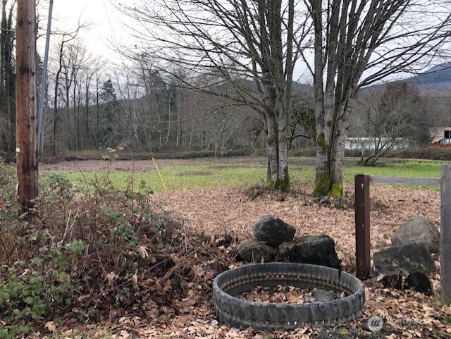 306558 Highway 101 Brinnon, WA 98320 - Photo 3 of 7