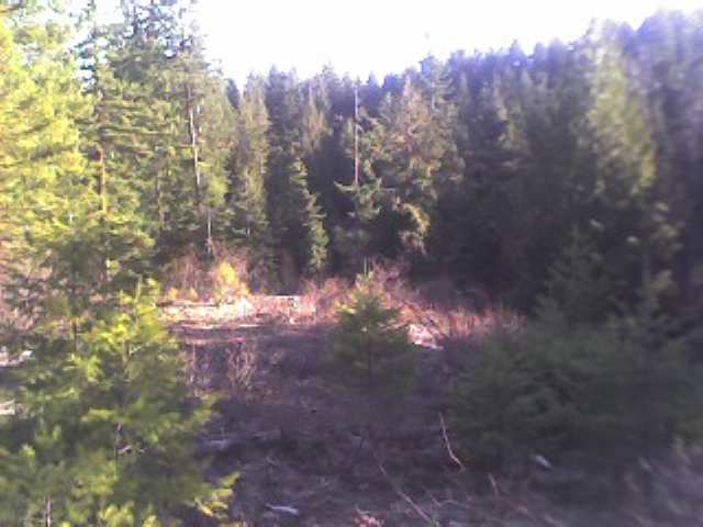 4400 Grote Road Clayton, WA 99110 - Photo 3 of 6