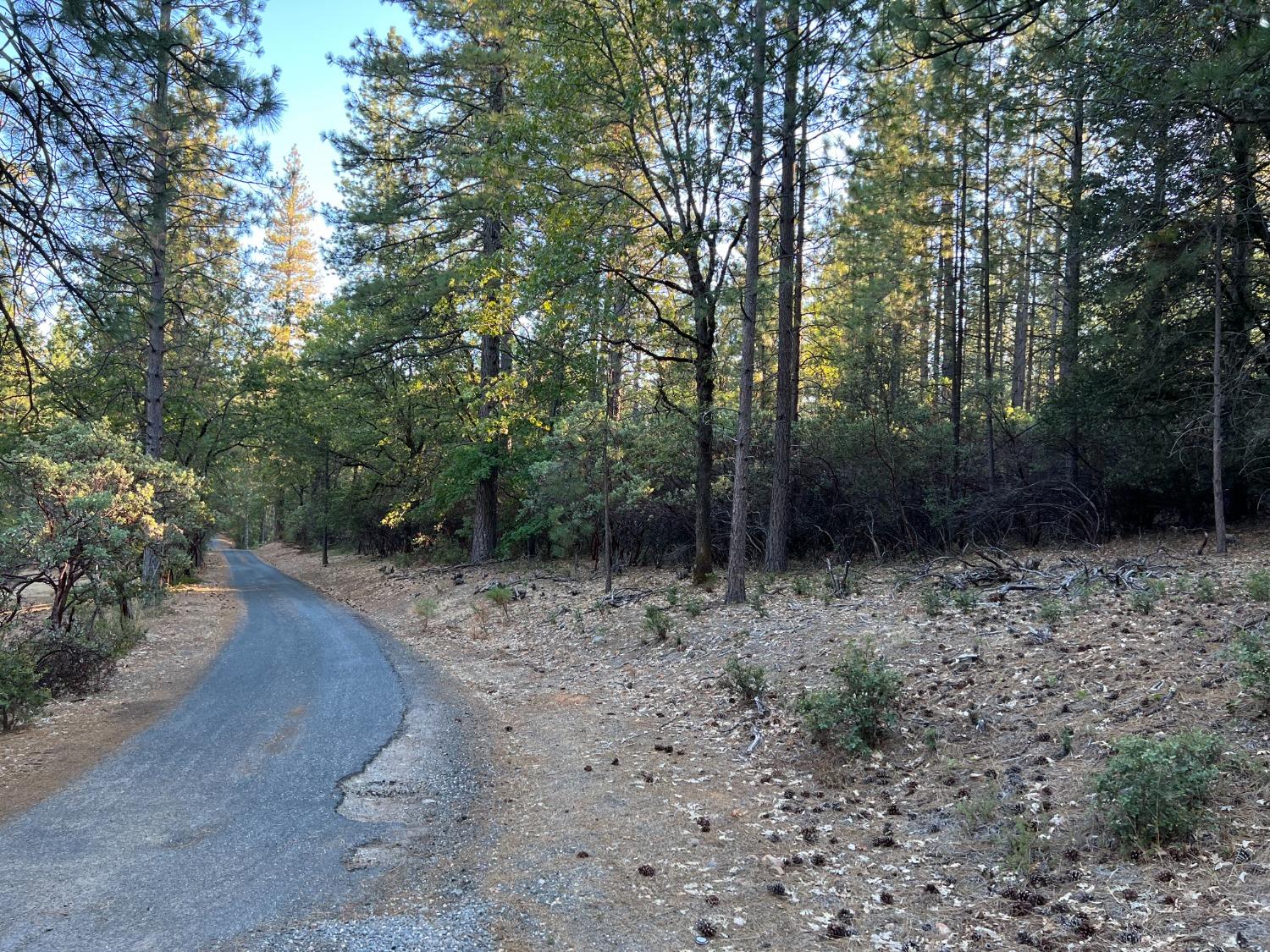 15380 Sunnyglade Road Grass Valley, CA 95949 - Photo 1 of 1 Gallery Image 1