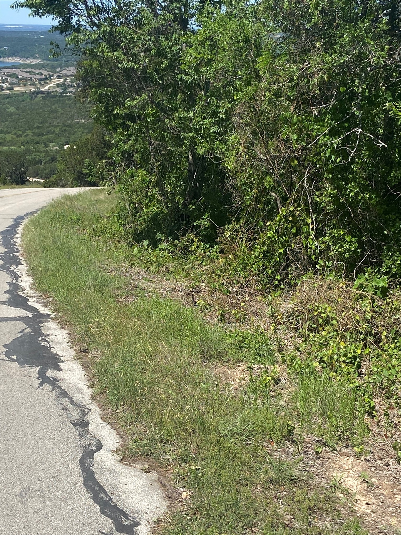 8222 Bar K Ranch Road Lago Vista, TX 78645 - Photo 11 of 11