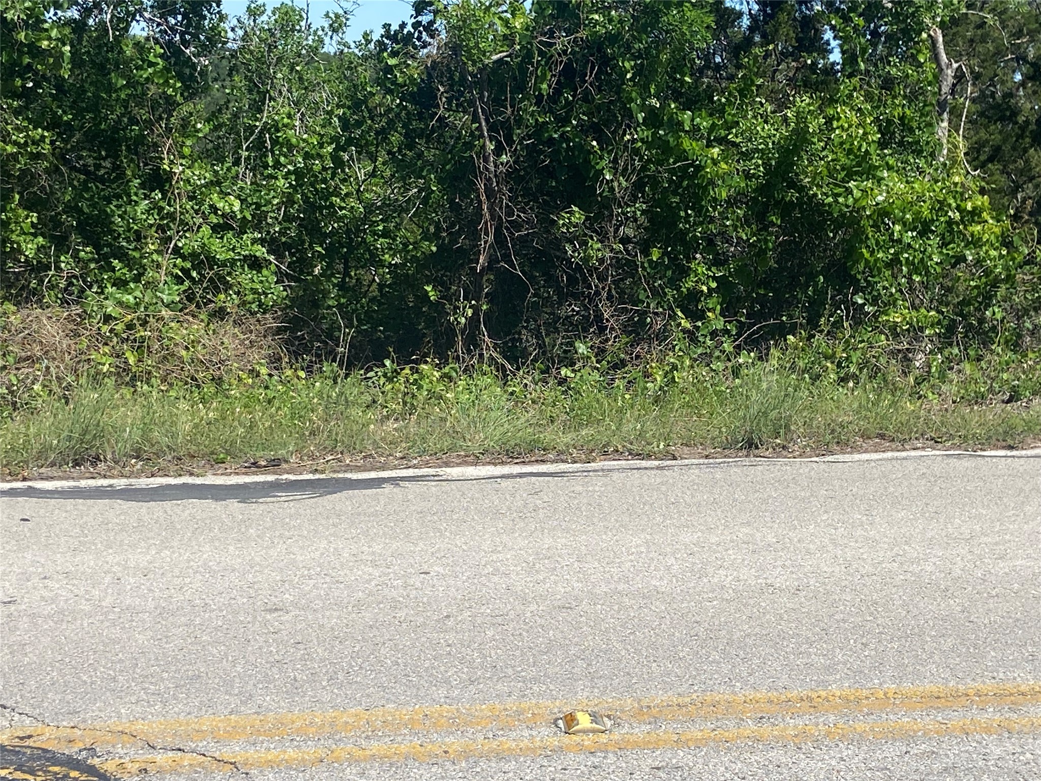 8222 Bar K Ranch Road Lago Vista, TX 78645 - Photo 6 of 11