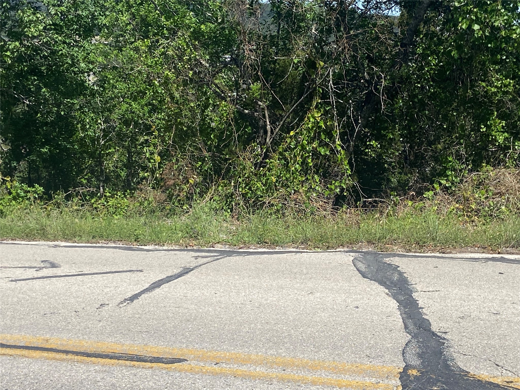 8222 Bar K Ranch Road Lago Vista, TX 78645 - Photo 8 of 11