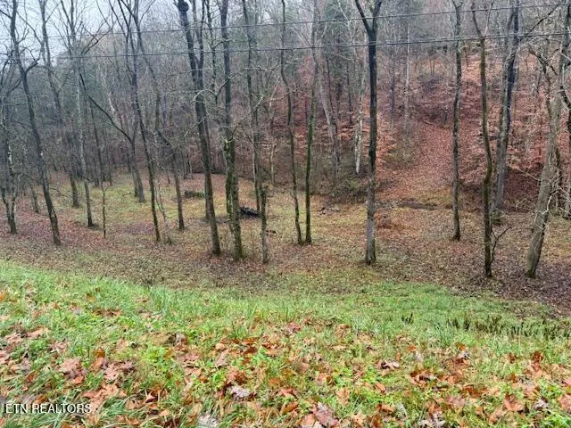 $20,000 | 13-14 Highland Trail, Sharps Chapel, TN 37866