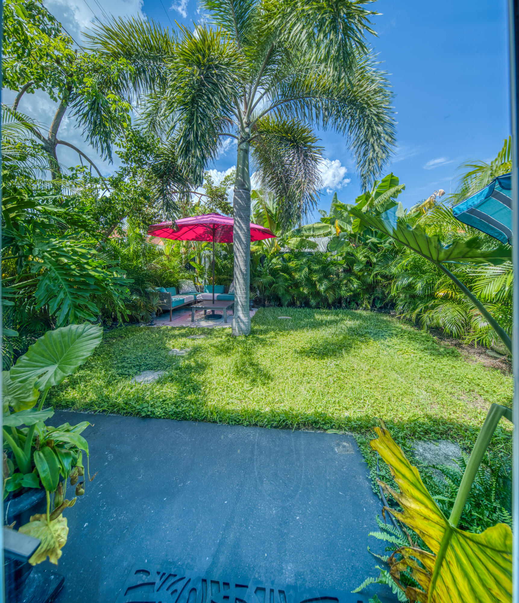 1331 North N Street, Unit GUEST HOUSE Lake Worth Beach, FL 33460 - Photo 7 of 23 a plant that is in front of a house