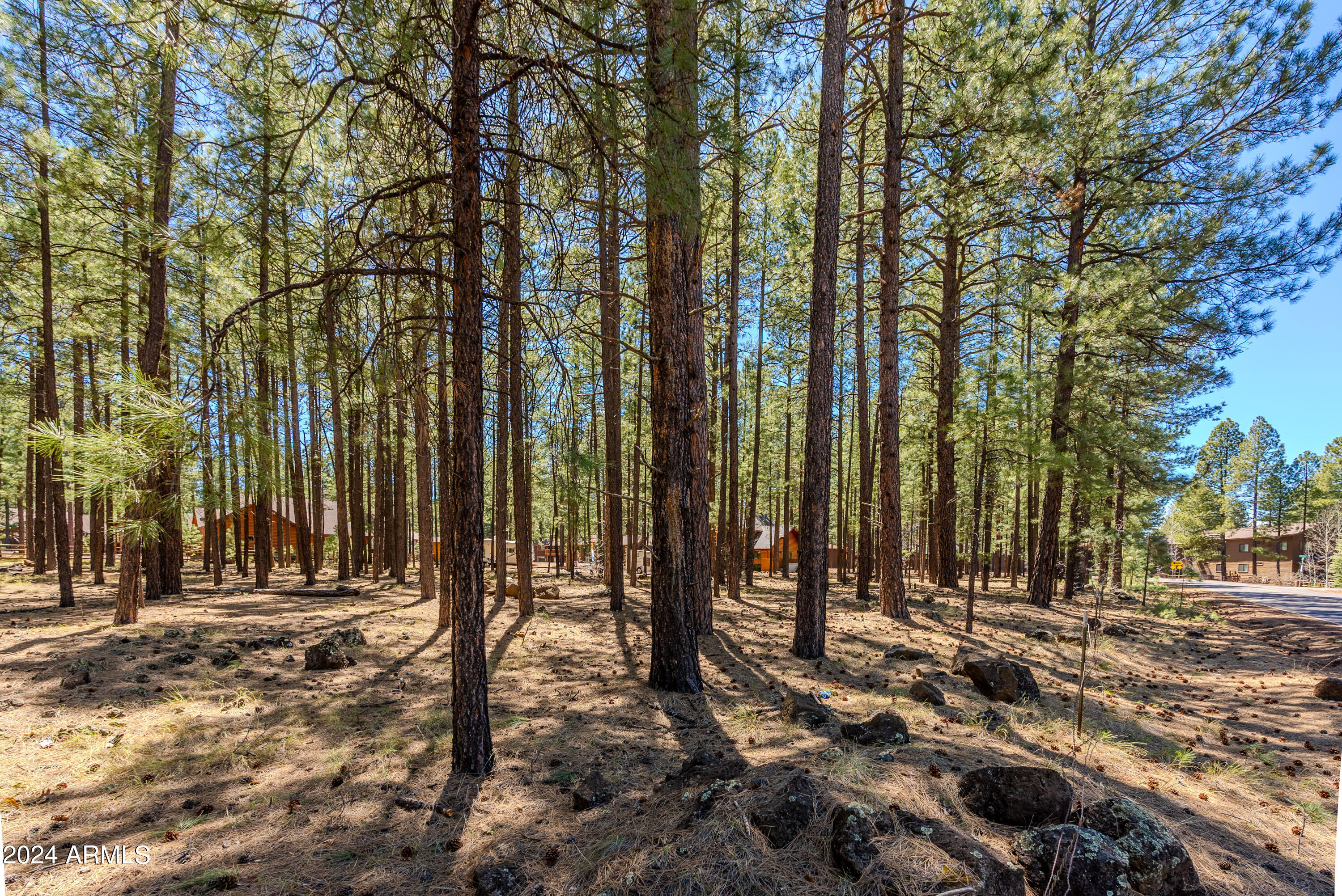 4583 Sky Hi Road Pinetop, AZ 85935 - Photo 18 of 30 4583 Sky Hi-18