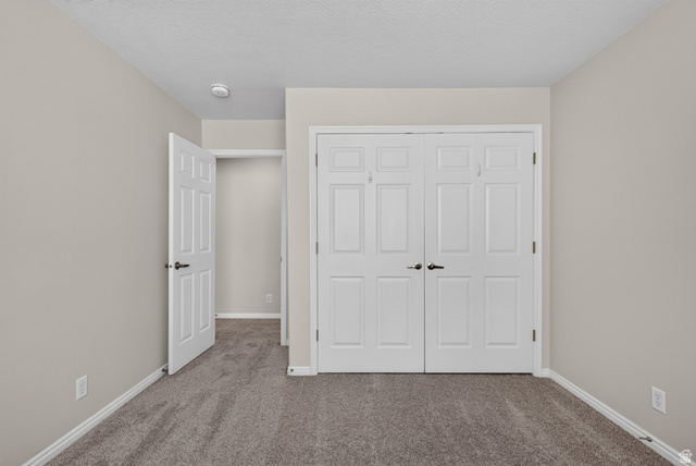 1305 Alpine Way Provo, UT 84606 - Photo 40 of 56 Neutral-toned wall finish, textured ceiling, panel doors, and gray carpeting