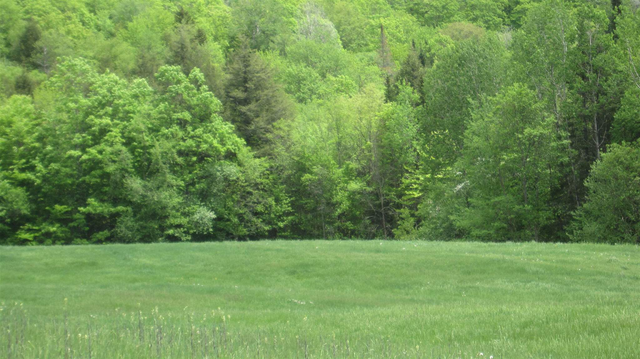 400 Page Hill Road Corinth, VT 05040 - Photo 4 of 5