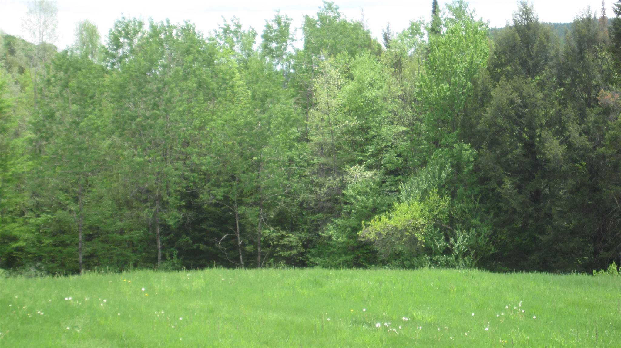 400 Page Hill Road Corinth, VT 05040 - Photo 5 of 5