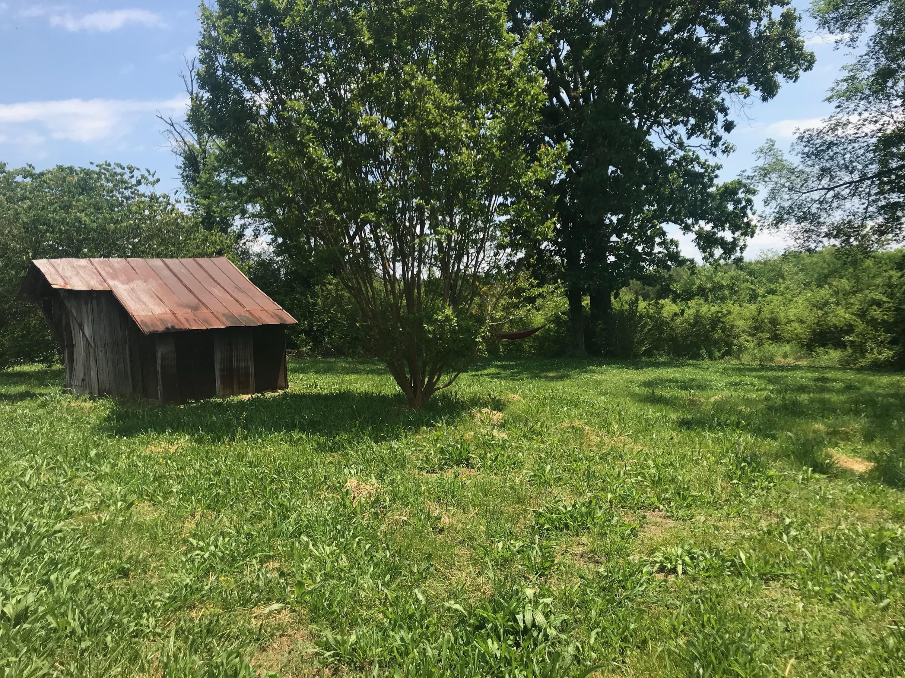 460 Union Grove Road Northeast Charleston, TN 37310 - Photo 7 of 7 IMG_6604