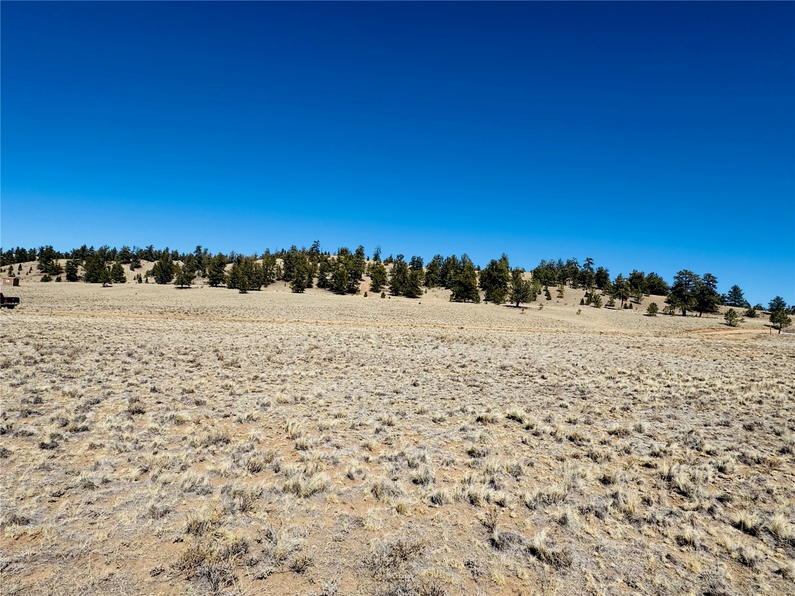 3067 Fitzsimmons Road Hartsel, CO 80449 - Photo 7 of 12