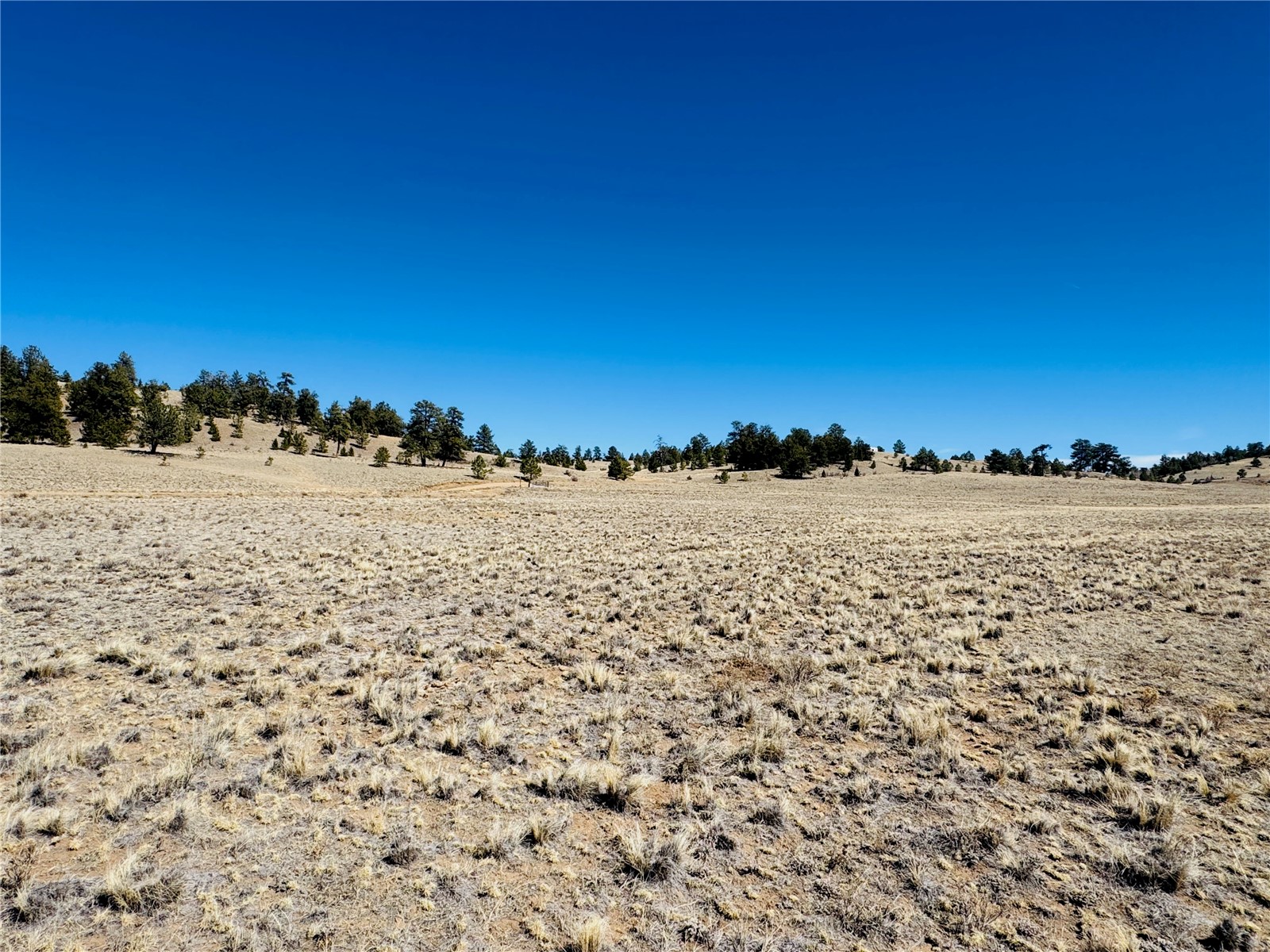 3067 Fitzsimmons Road Hartsel, CO 80449 - Photo 8 of 12