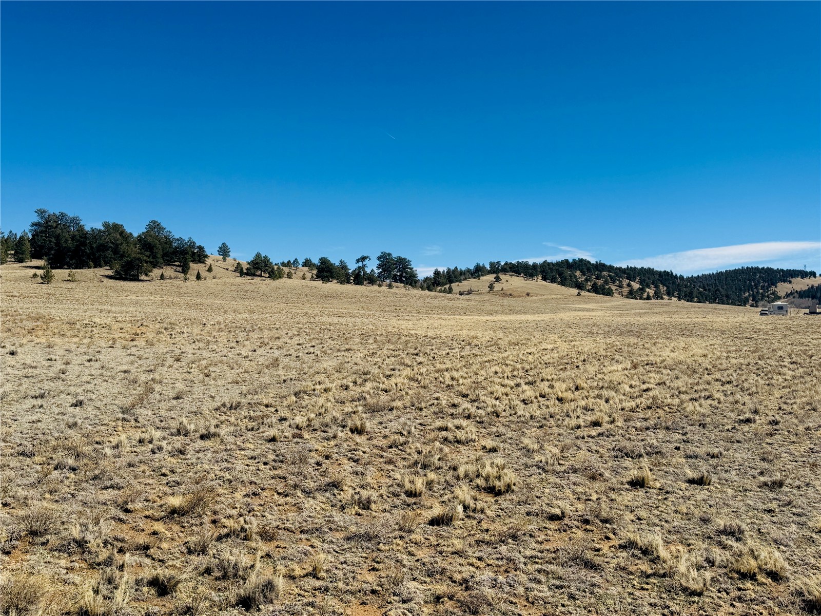 3067 Fitzsimmons Road Hartsel, CO 80449 - Photo 9 of 12