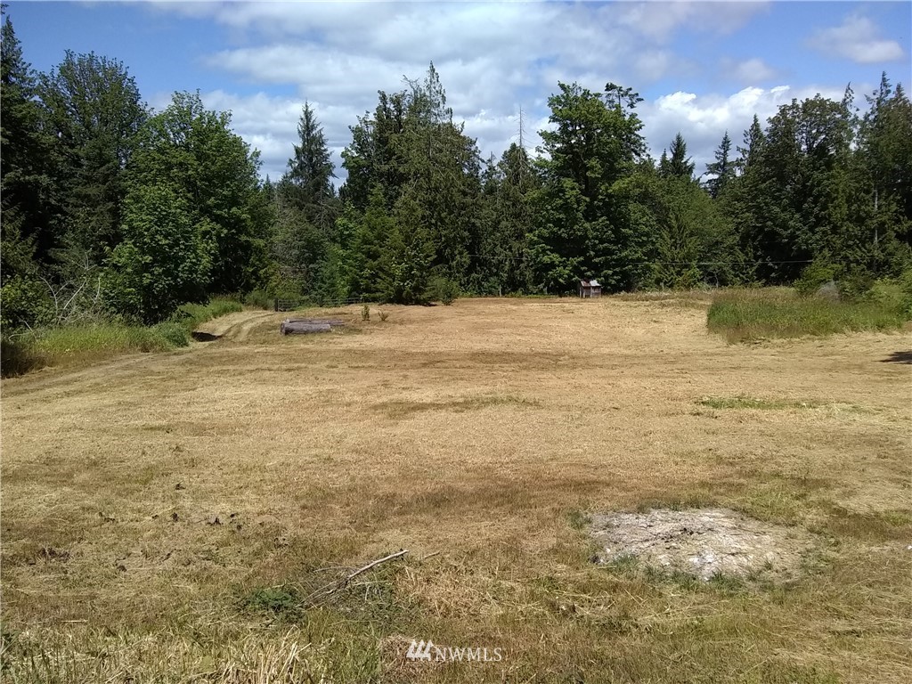 1981 West Little Egypt Road Shelton, WA 98584 - Photo 4 of 21