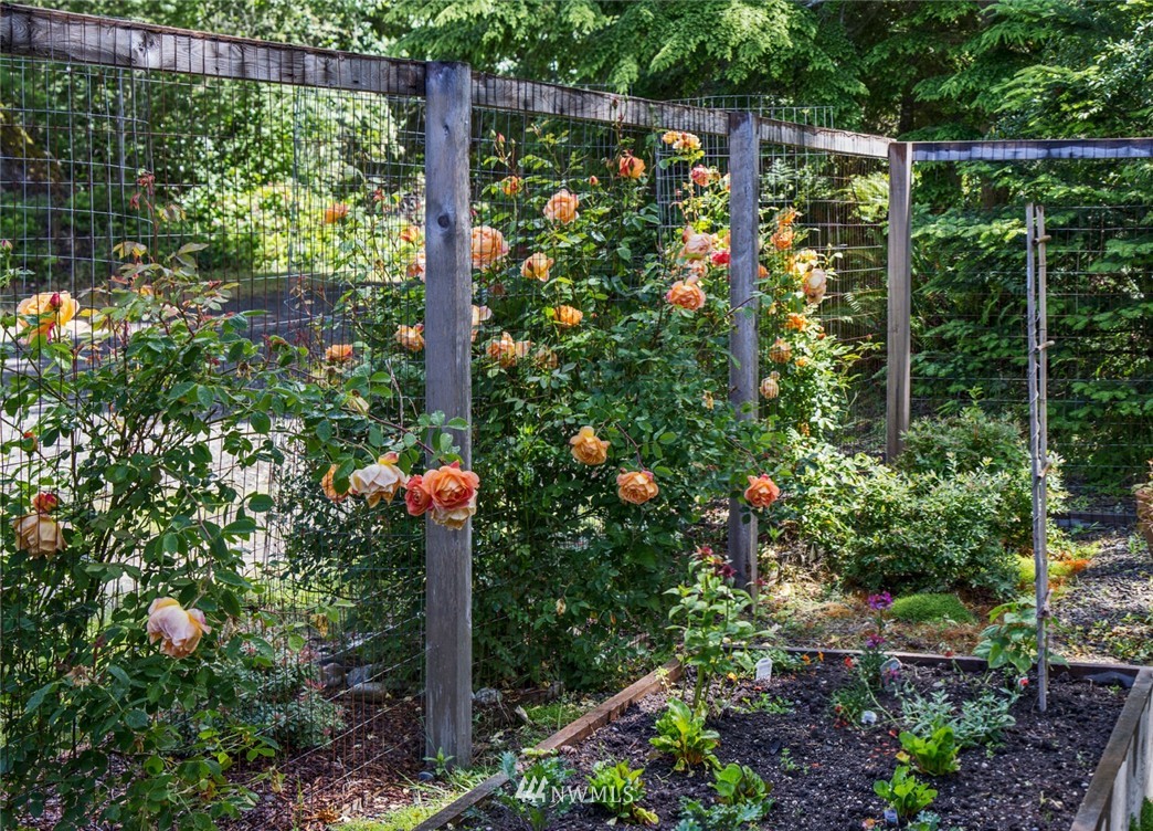 125 McCurdy Point Road Port Townsend, WA 98368 - Photo 23 of 25 Gallery Image 23