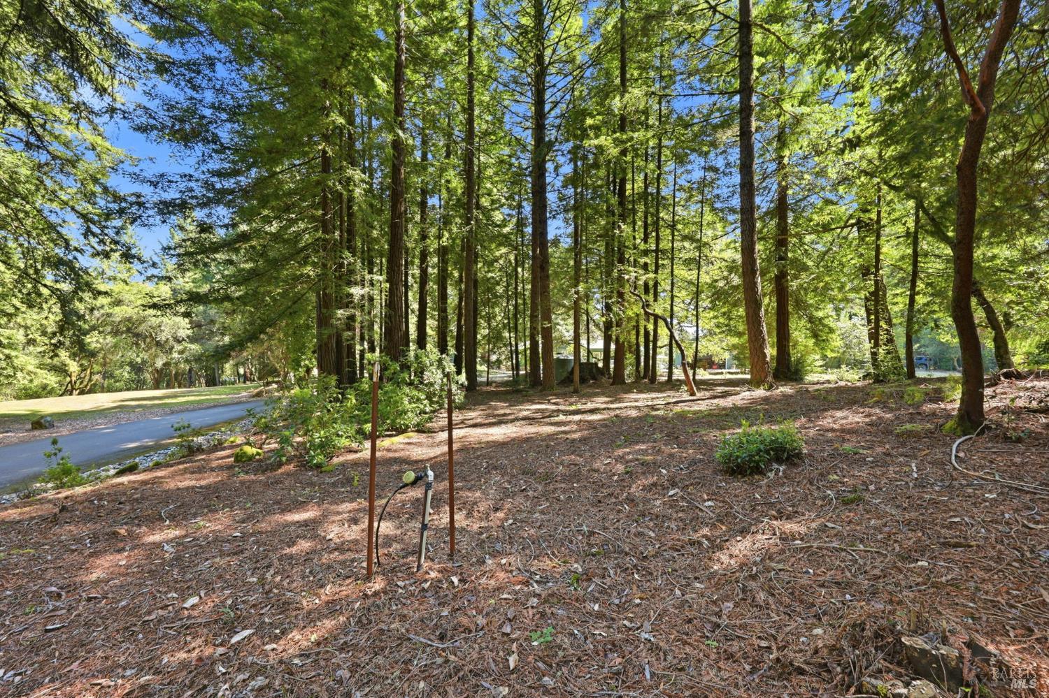 17375 Willow Creek Road Occidental, CA 95465 - Photo 80 of 94