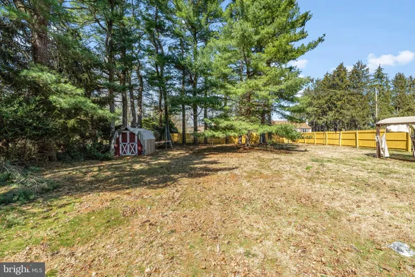 a view of a yard with a tree