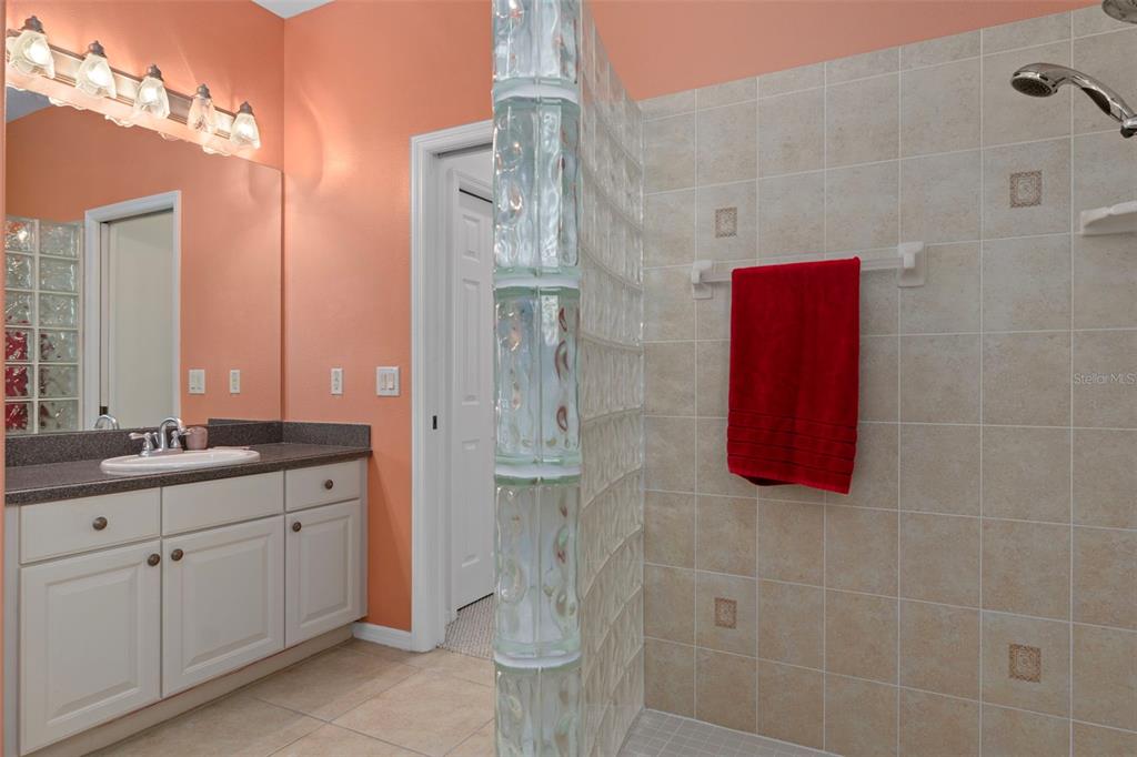 1031 West Diamond Shore Loop, Unit 5 Hernando, FL 34442 - Photo 31 of 69 a bathroom with a granite countertop shower a sink and toilet