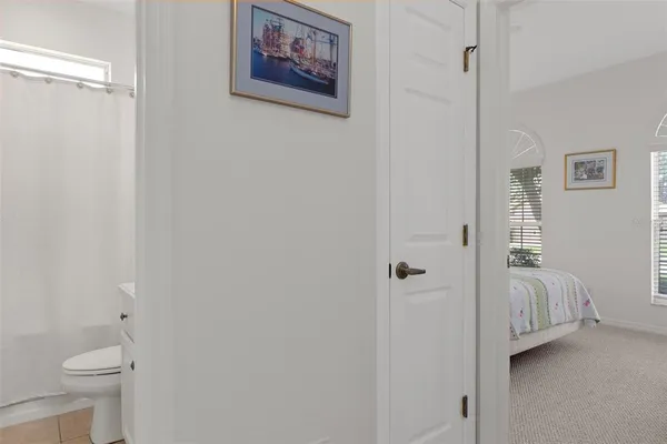 a view of a grassy field with trees in the background