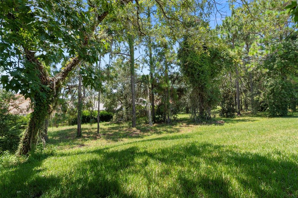 1031 West Diamond Shore Loop, Unit 5 Hernando, FL 34442 - Photo 43 of 69 a view of outdoor space with green field and trees